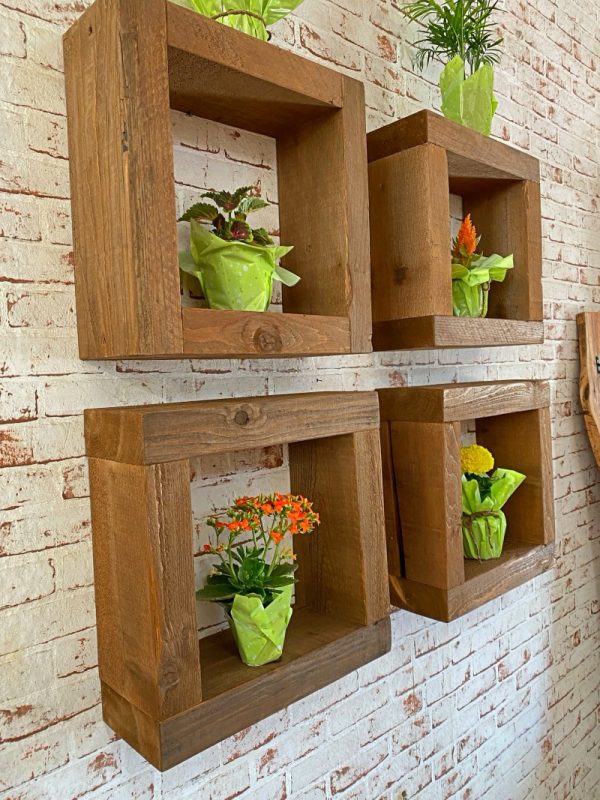 cubi legno da muro con piantine verdi