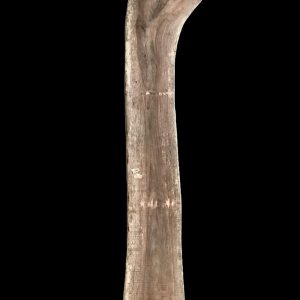Asse in legno grezzo di noce nazionale segato da tronco H393 L80-50 P8 Sara