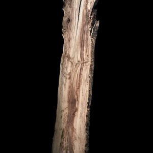 Asse in legno grezzo di castagno segato da tronco H313 L79-70 P8 Sabby