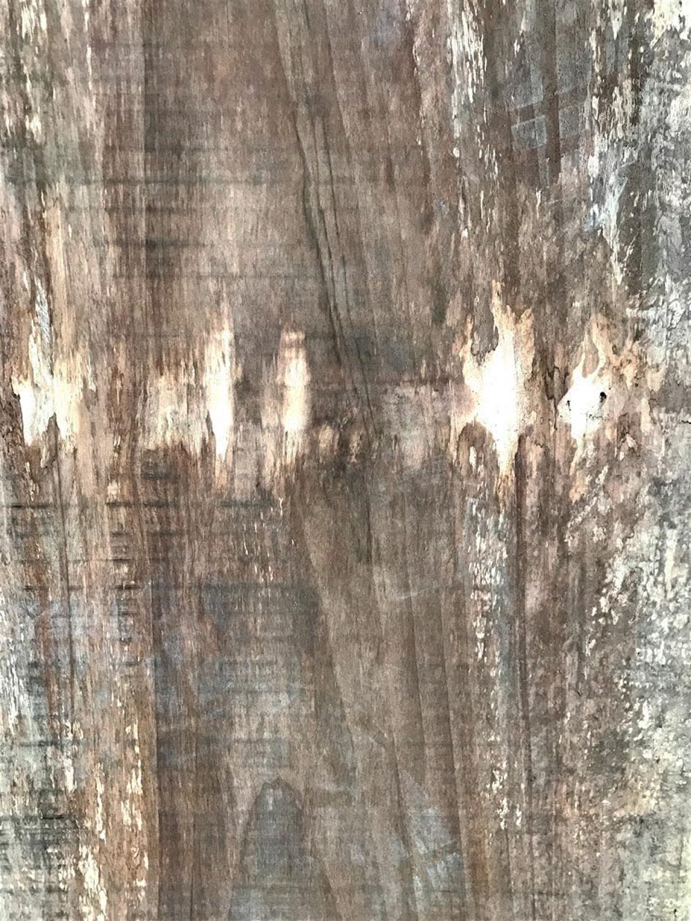Asse in legno grezzo di noce nazionale segato da tronco H393 L80-50 P8 Sara  - XLAB Design