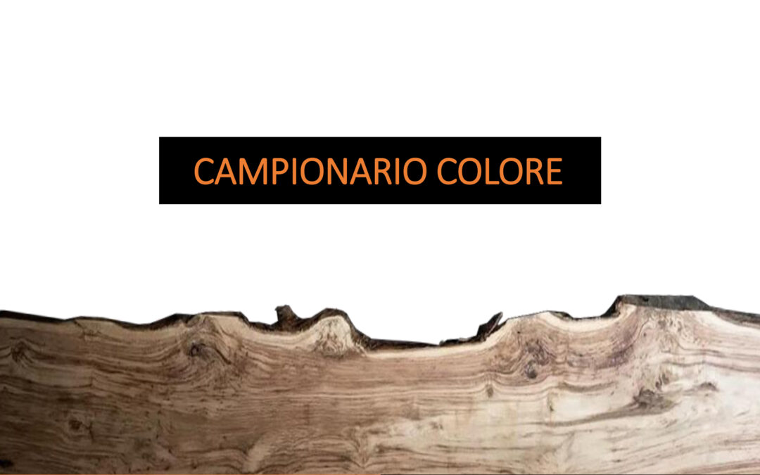 Campionario colore e tipologie di legno utilizzate nei nostri mobili