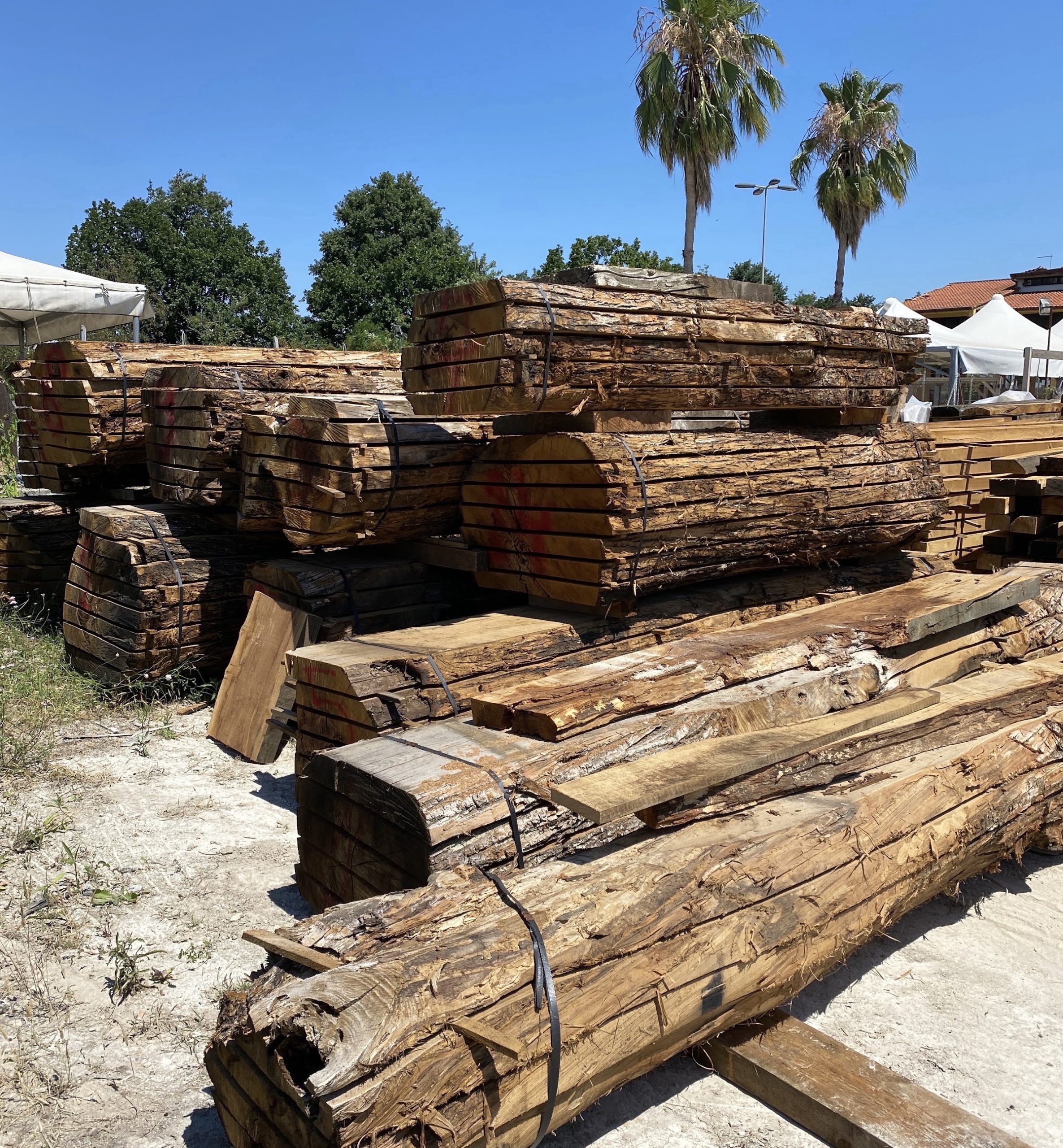 Legno massello tronco falegnameria xlab design